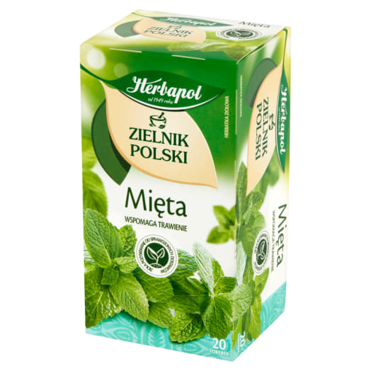 ZIELNIK POLSKI Mięta 20 torebek ex.