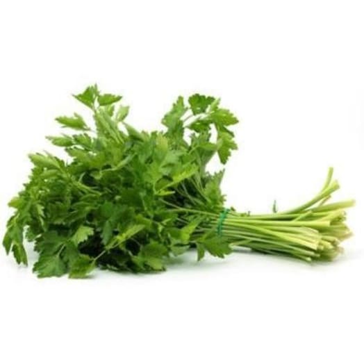 FRISCO FRESH Natka pietruszki - pęczek